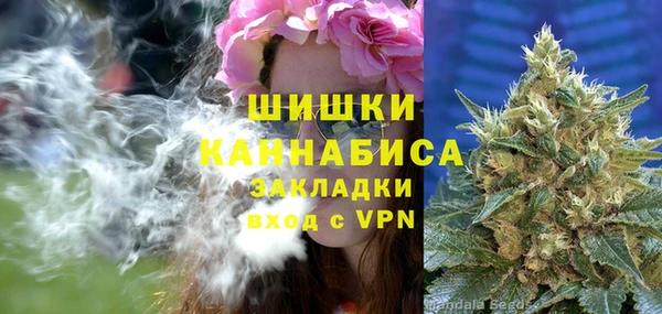 альфа пвп Няндома